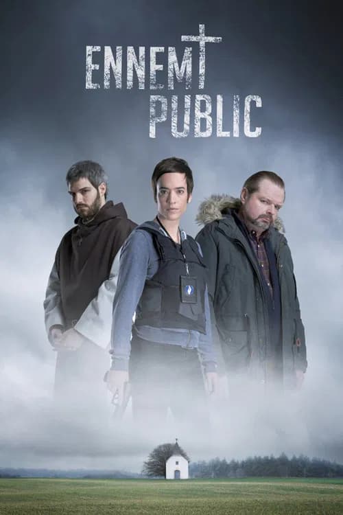 Affiche : Ennemi public
