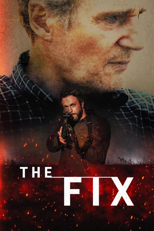 Affiche : The Fix
